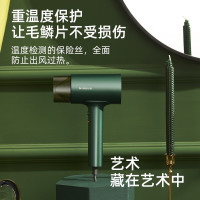 志高(CHIGO) 电吹风家用吹风机洗头吹干不伤发负离子冷热干发机ZG-DCF38(曼巴绿)