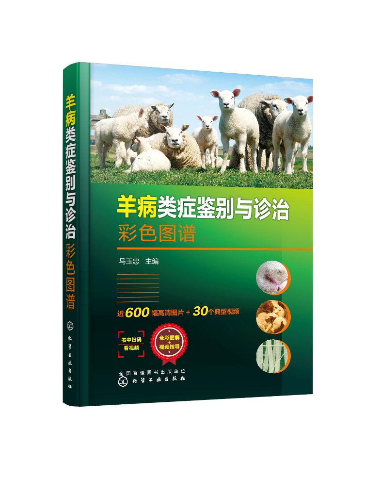 [醉染正版]正版 羊病类症鉴别与诊治彩色图谱 1化学工业出版社 马玉忠 主编高清大图