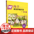肉羊高效养殖问答一本通/视频图文学养殖丛书 马友记 编 9787109317536 中国农业出版养