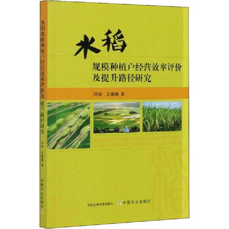 正版新书】水稻规模种植户经营效率评价及提升路径研究刘颖978710