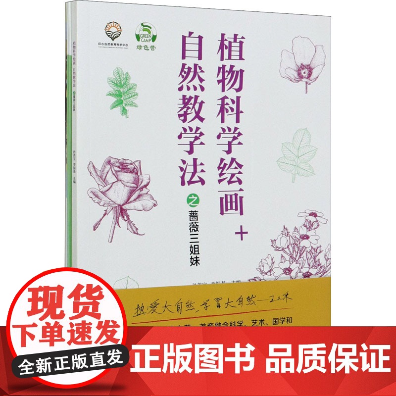 植物科学绘画+自然教学法之蔷薇三姐妹高清大图