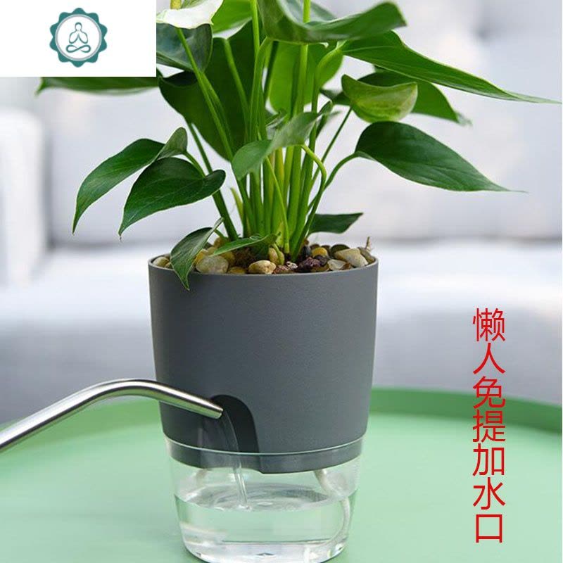 透明塑料花盆双层自动吸水客厅盆栽创意大口径懒人绿萝花盆圆形艺呈白色透明盆 上下双层分离买1送1 同款中等花盆 容器 价格图片品牌报价 苏宁易购福文姚家居专营店