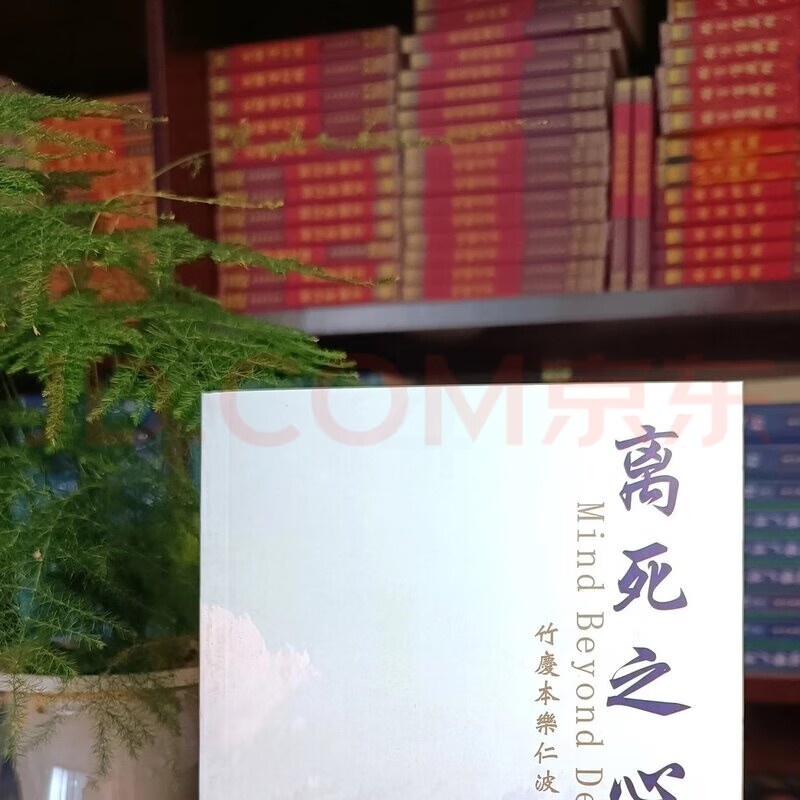 [古典]离死之心 竹庆本乐仁波切 一本专门讲中阴的书,教我们怎高清大图