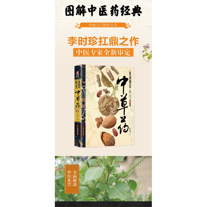 正版新书]本草纲目养生中草药 图解彩绘版耿引循9787539077185高清大图