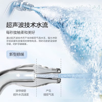 松下(Panasonic)冲牙器洗牙器水牙线 超声波洁牙器立式便携 正畸 儿童模式生日礼物送男友送女友EW1523G绿色