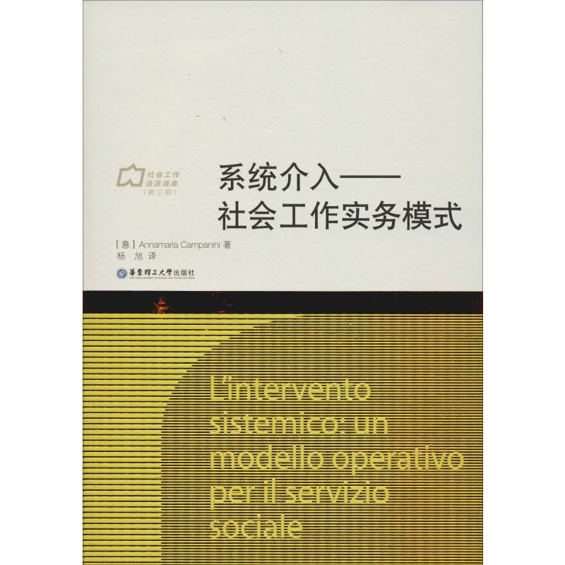 醉染图书系统介入——社会工作实务模式9787562859260