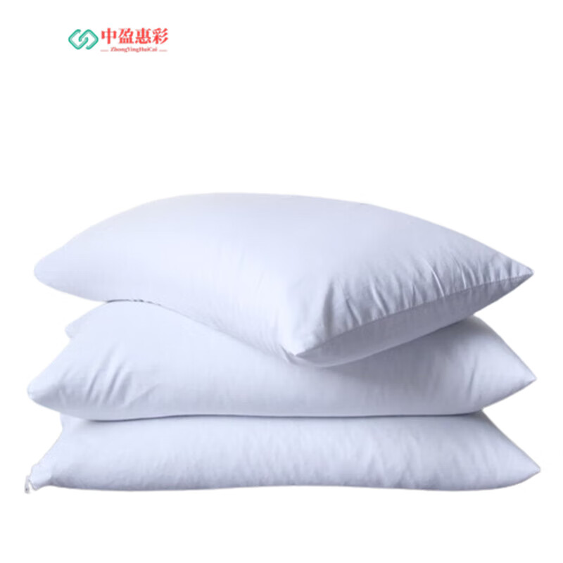 中盈惠彩 荞麦皮枕头 HC-ZT01 /个高清大图