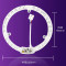 飞利浦(PHILIPS)LED灯盘19.5W 白光吸顶灯灯芯 改造版灯 替代环形 蝴蝶灯管
