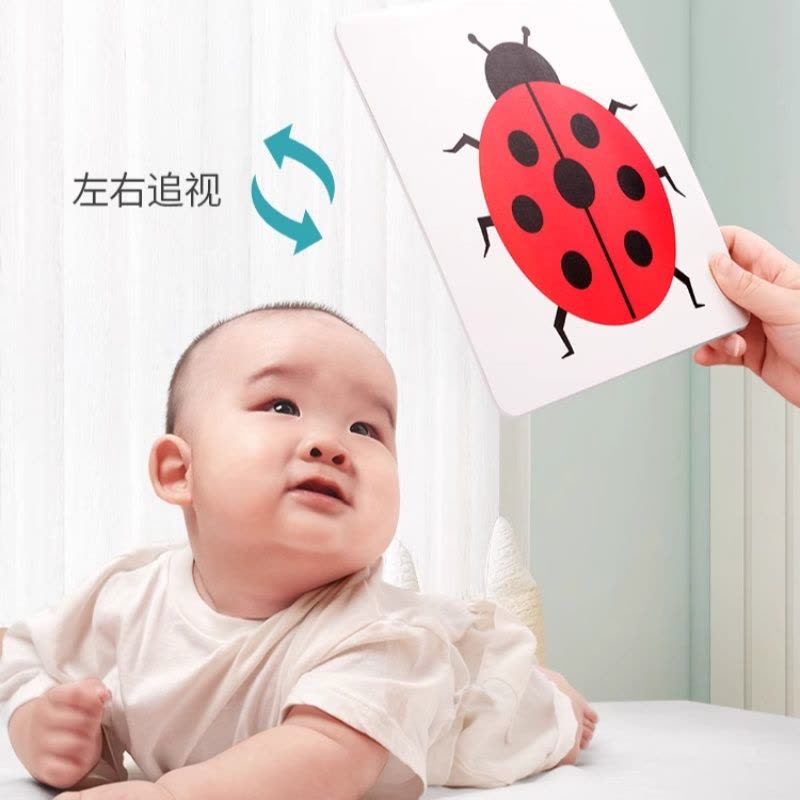 彩色卡片婴儿早教卡视觉训练0到3个月新生儿黑白卡追视闪色卡认知图片