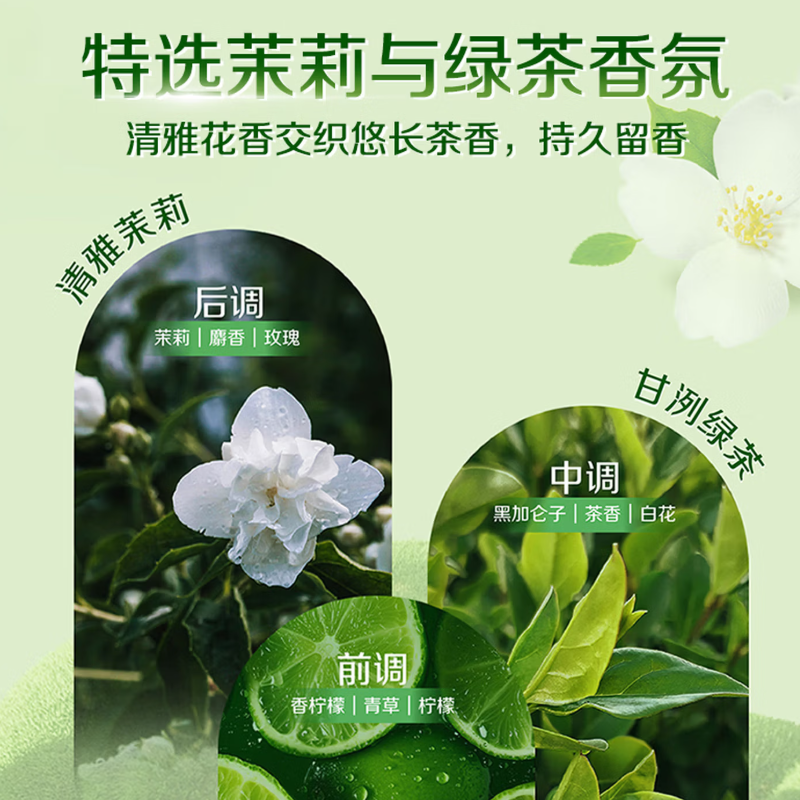 滴露洗手液茉莉与绿茶迪士尼500g高清大图