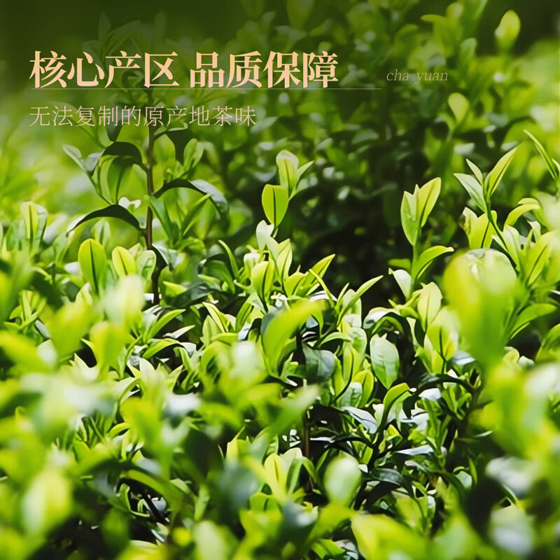 忆江南 普洱茶熟茶茶叶礼盒装特级 烤漆系列-300g普洱茶-礼盒高清大图