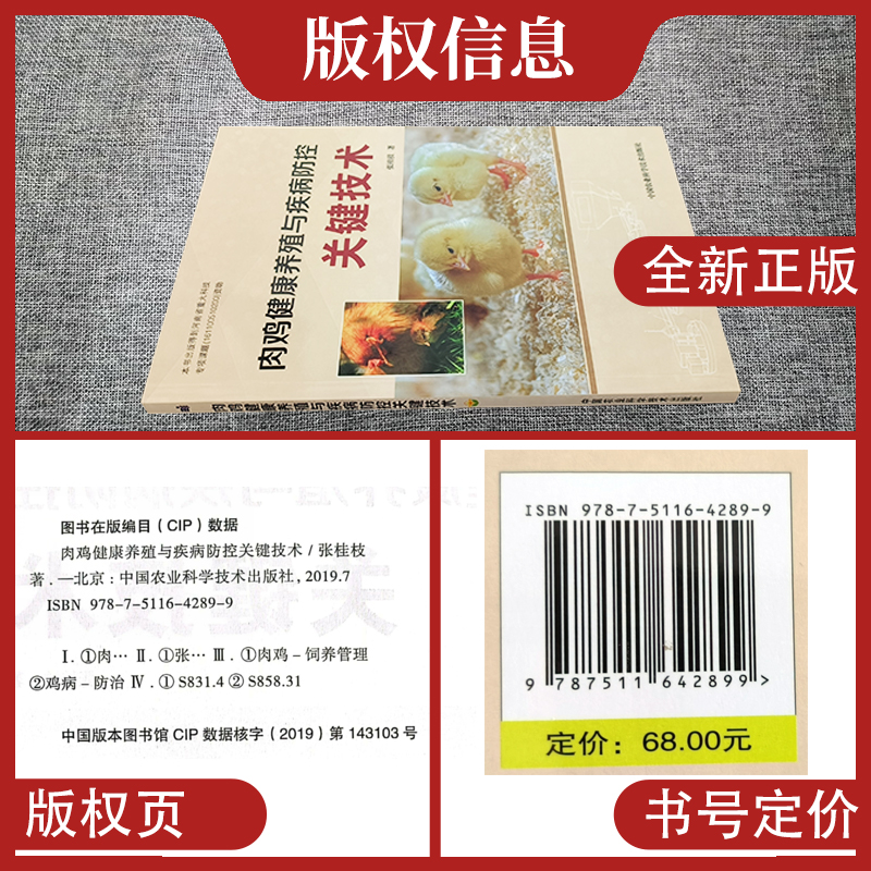 [醉染正版]肉鸡健康养殖与疾病防控关键技术 肉鸡养殖技术肉鸡疾病防控 鸡的营养北农阳光高清大图
