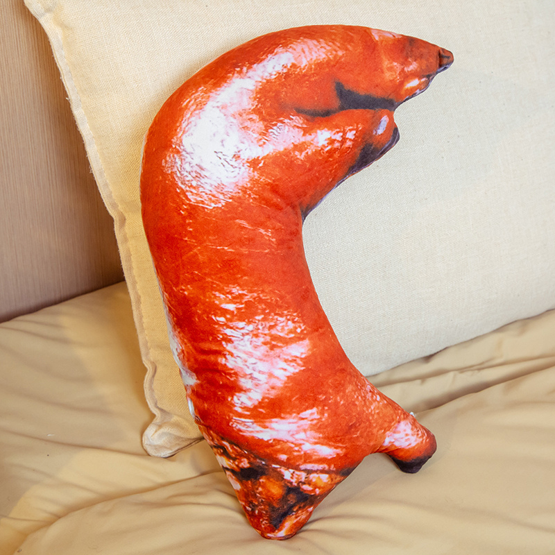 波巧毛绒可爱抱枕羽绒棉仿真猪蹄仿真鸡腿抱枕20cm/50cm/70cm