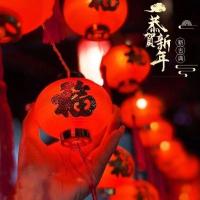 LED红灯笼灯串福字灯新年装饰灯高亮户外新古风家用太阳能庭院灯 - 小红灯笼;5米18灯24V低压插电款【红线】8功能