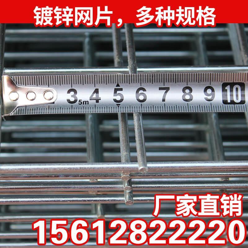 镀锌电焊网片建筑网防护网养殖鸡鸽兔笼钢筋焊接防护服