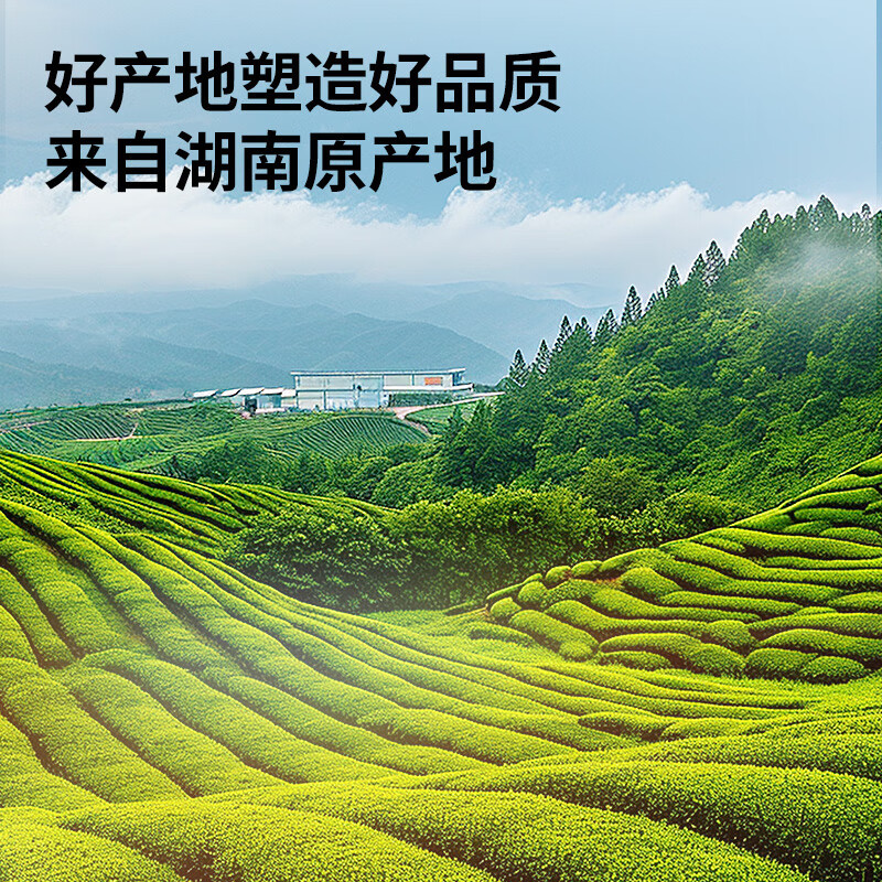 同仁堂品牌 北京同仁堂绞股蓝100g七叶绞股蓝茶叶嫩叶芽滋补养生茶