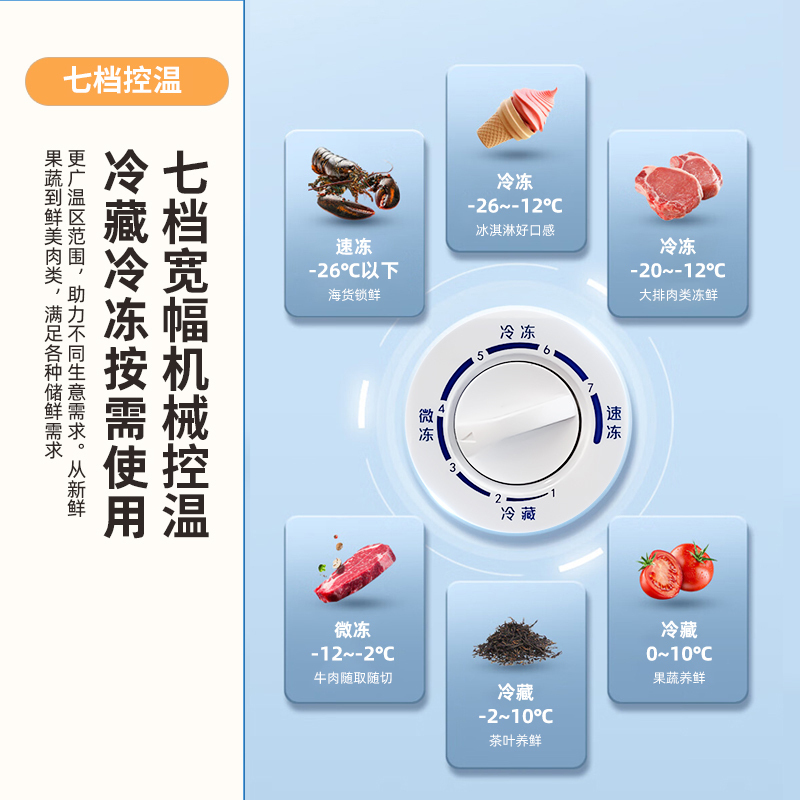 新飞(frestec)142升单温小冰柜 一级能效冷藏冷冻转换家用变温母乳小冰箱冷柜BC/BD-142KAT/L高清大图