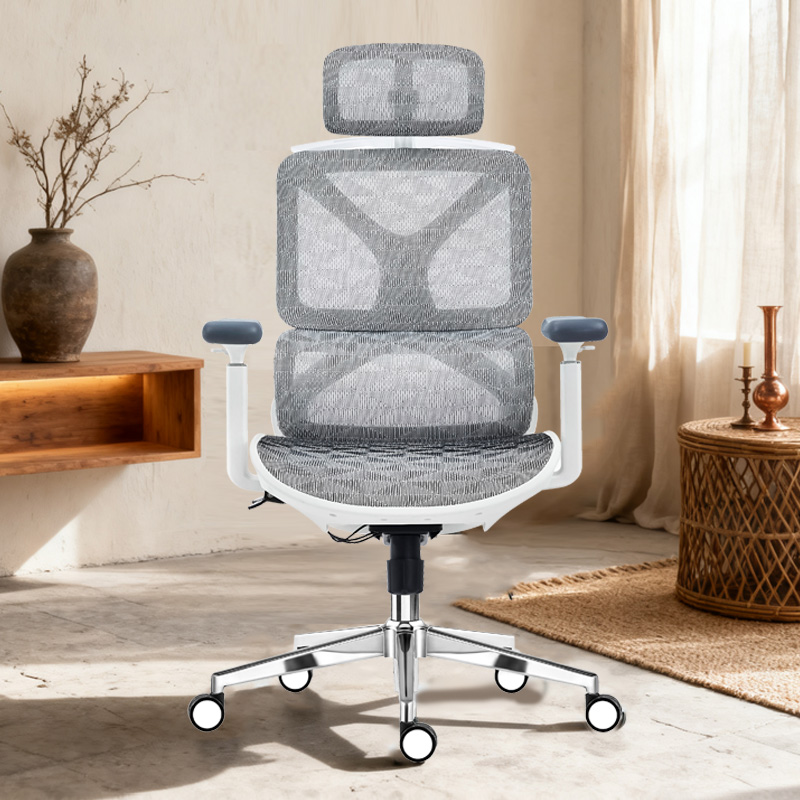 臻远 ZY-8936 办公椅人体工学椅转椅 白框 单位:把高清大图