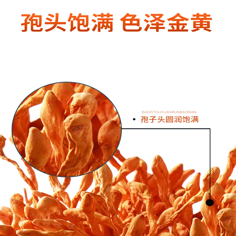 宁百晟虫草花150g/袋高清大图