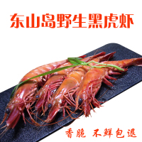 沈志雄船长 东山岛海鲜海捕黑虎虾虎节虾鲜活速冻盒装9-11条/250g/盒 4盒共1000克 海鲜礼包