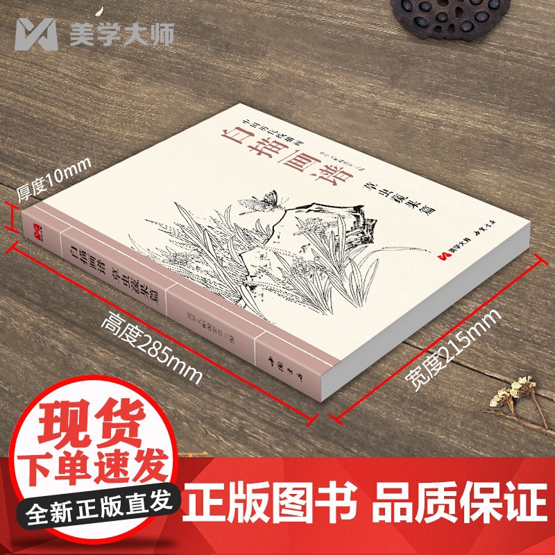 2022新书 白描画谱 草虫蔬果篇 中国工笔技法画册集书籍入门初自学者零基础教程材成人手绘临摹勾线名家底稿图大全美术绘画高清大图