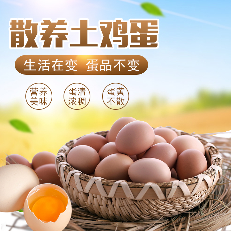 [西沛生鲜][礼盒装]新鲜土鸡蛋 40枚装 农家散养 新鲜正宗草鸡蛋笨柴鸡蛋孕妇月子蛋整箱禽蛋