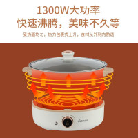 联创电煮锅 DF-BL8028M 4.5L