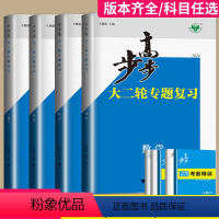 语文 青海省 [正版]2024新版步步高大二轮专题复习物理数学化学地理生物政治历史英语语文资料高考二轮复习讲义金榜苑高三