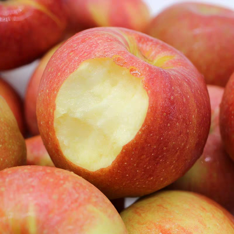 陕西冰糖心红富士苹果3斤/5斤/9.