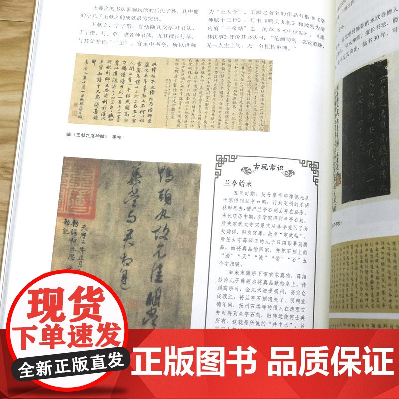 [2册]中国古玩指南+古玩图鉴:书画与碑帖篇 书籍高清大图