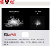 雅鹿羽绒服女装短款轻薄2020冬新款连帽韩版清仓特卖白鸭绒外套k