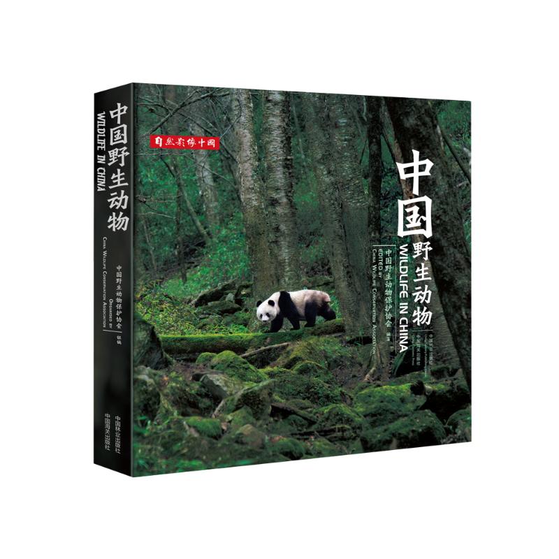 中国野生动物 中国野生动物保护协会组编 著 专业科技 文轩网