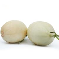 展卉 海南东方蜜瓜 2个装 单果重量约400-600g 新鲜水果