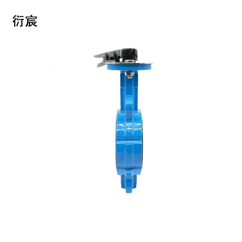 衍宸 对夹式蝶阀 DN100 个高清大图