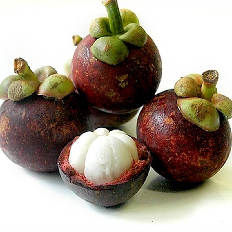 山竹15kg新鲜水果产发qq