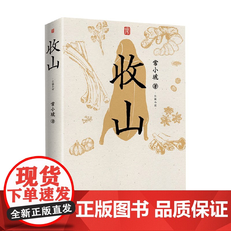 收山 常小琥 著 小说