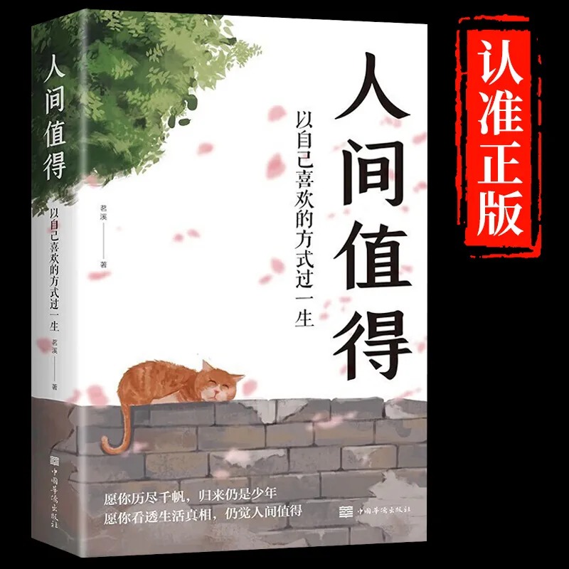 【抖音同款】人间值得正版励志学书籍以自己喜欢的方式过一生励志书籍初高中生人生正能量青春成长不烦恼心理学书排行榜