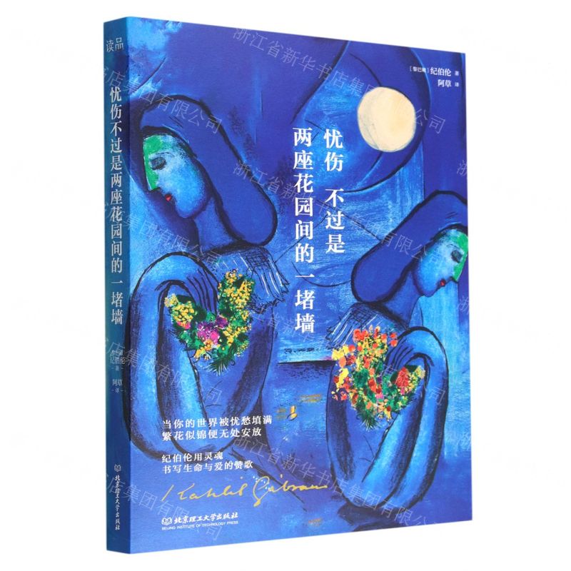 [N]忧伤不过是两座花园间的一堵墙-9787576316377高清大图