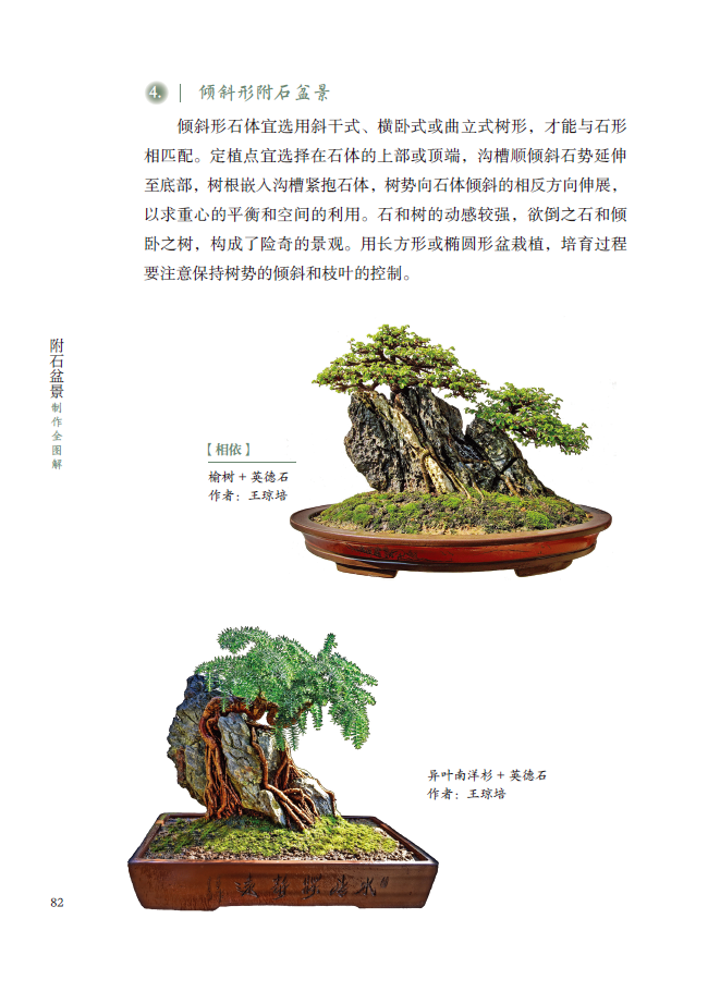 [醉染正版]正版 附石盆景制作全图解 书籍大全附石盆景制作与养护技巧鉴赏制作管理养花栽培树木植物盆景造型设计栽培修剪高清大图