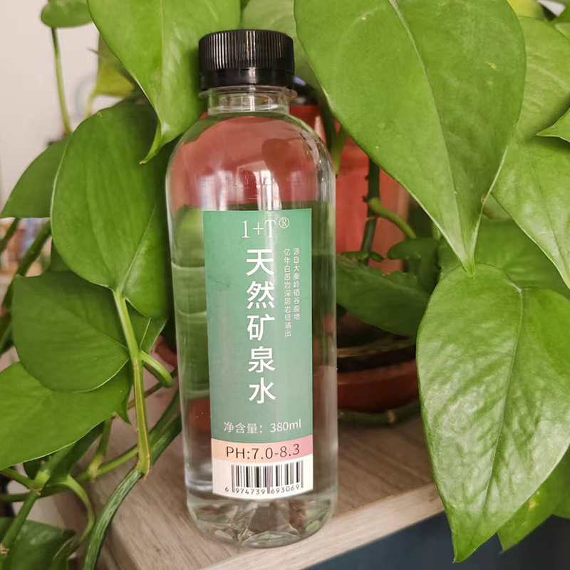 1+T 天然矿泉水 380ml*24瓶/箱高清大图