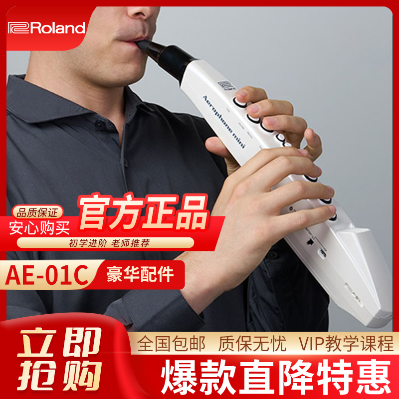 罗兰(Roland)AE-01C电吹管新型电子萨克斯支持蓝牙初学者成人老年人电子管乐