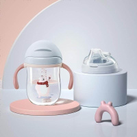 babycare儿童水杯 夏季喝水幼儿园宝宝防漏防呛吸管杯带重力球学饮杯 星际灰 双杯盖 240ml