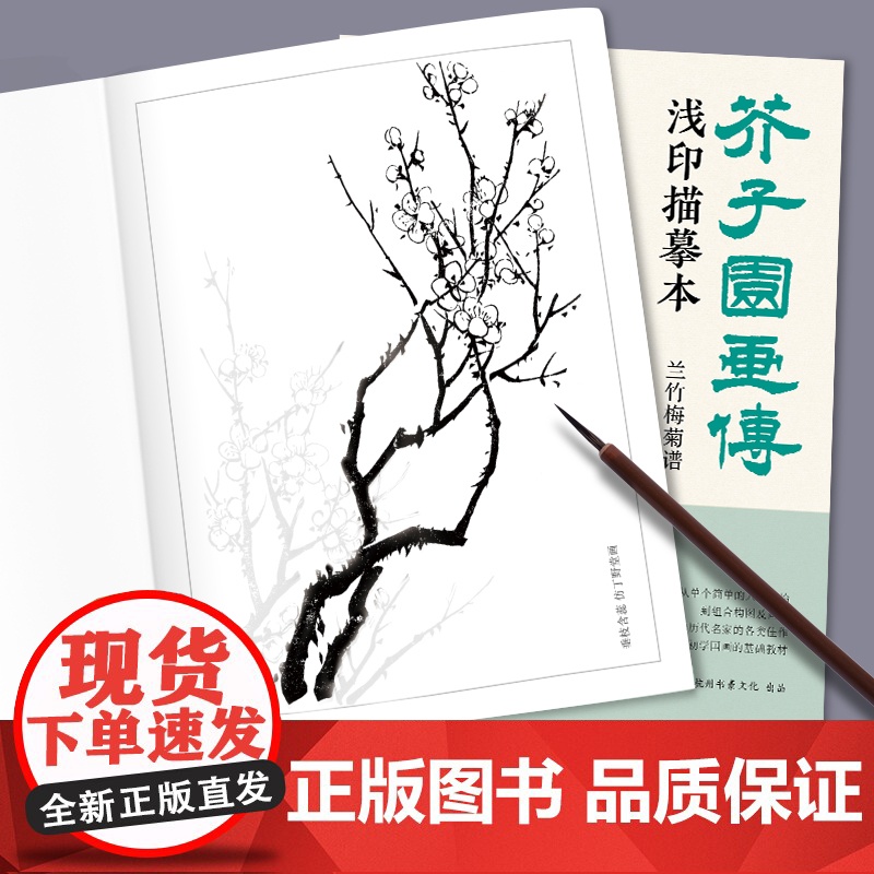 芥子园画传浅印描摹本兰竹梅菊谱 中国画入门零基础教程书籍白描底稿画稿线稿临摹本描摹册超级线条初学者绘画自学教材sh高清大图
