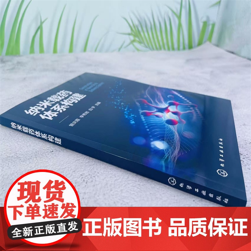 纳米载药体系构建高清大图
