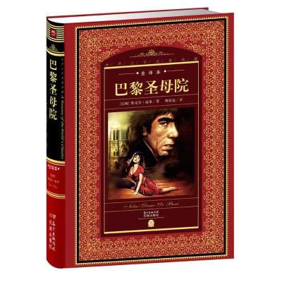 世界文学名著典藏全译本巴黎圣母院法国维克多雨果9787536074873
