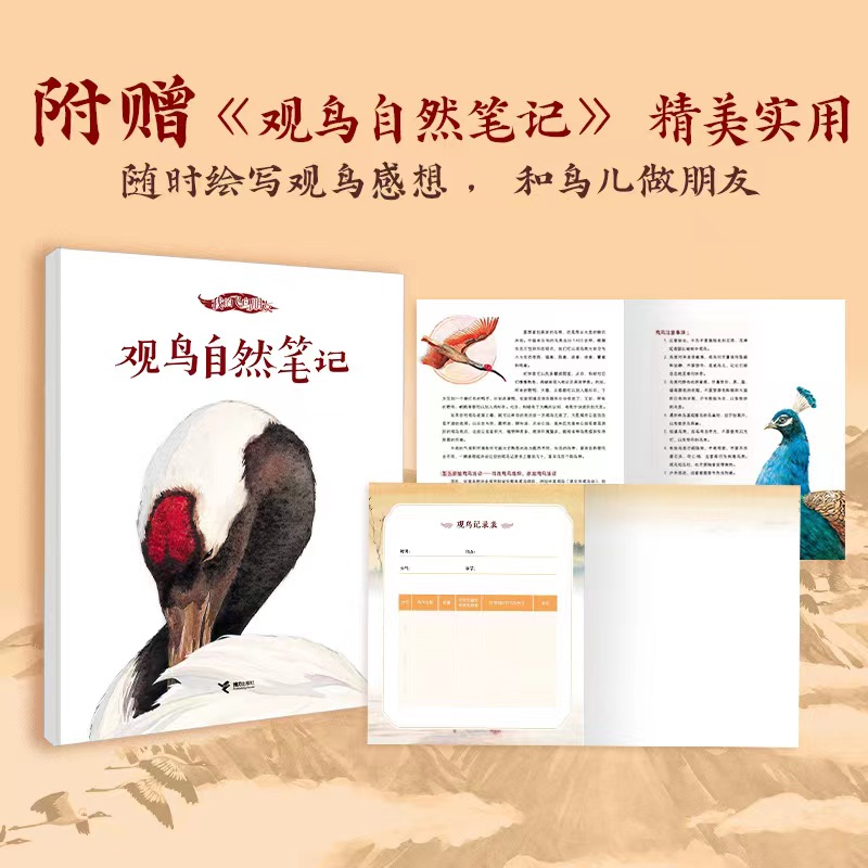 共4册 [正版]我的飞鸟朋友 你如此勇敢 全4册 保冬妮 丹顶鹤的旅程 北京雨燕的新家 寻找绿孔雀 朱鹮回故乡 以中国珍高清大图