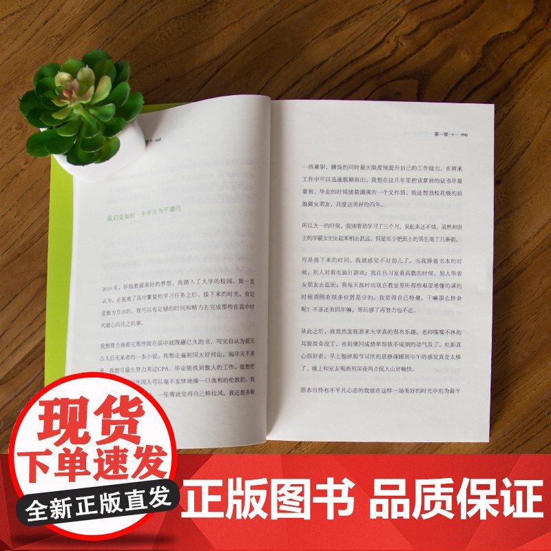 正版 生活不会辜负每一份努力 何德恺 人气励志小太阳 心灵与修养 心灵感悟高清大图