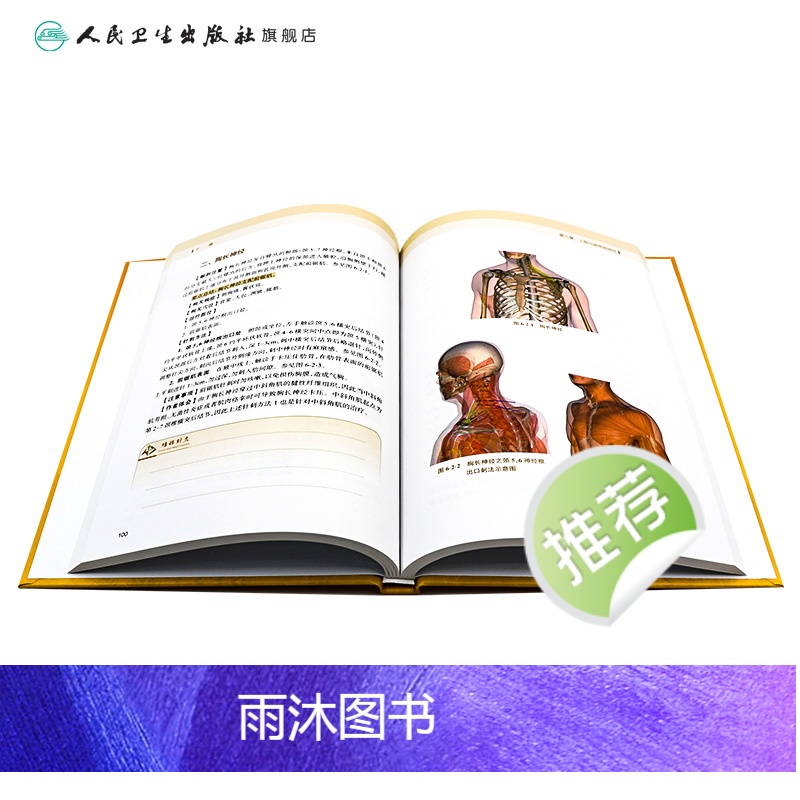 [正版]结构针灸解剖基础与刺法精要周围神经分册 腧穴定位穴位针刺神经董氏奇穴大成甲乙经自学初学者经络人民卫生出版社中医高清大图