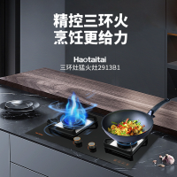 Haotaitai燃气灶JZY-2913B1液化气