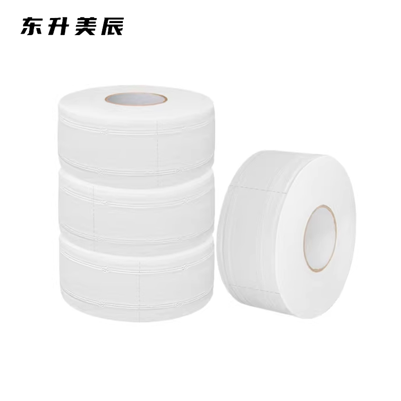 东升美辰 大盘纸450g5层12卷 DS-BH194 箱高清大图